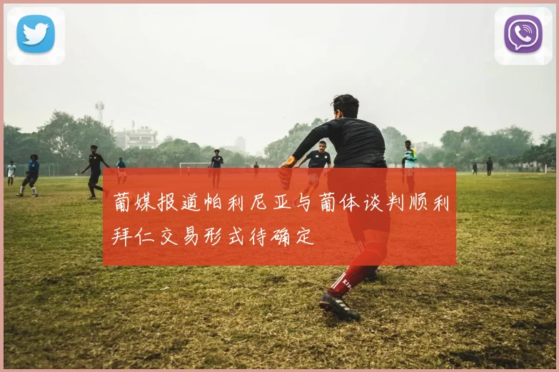 葡媒报道帕利尼亚与葡体谈判顺利拜仁交易形式待确定
