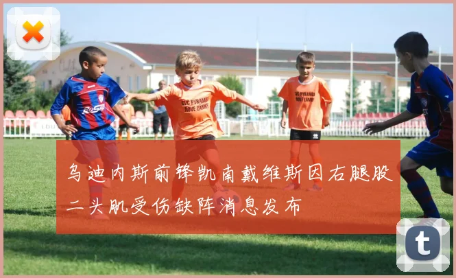 乌迪内斯前锋凯南戴维斯因右腿股二头肌受伤缺阵消息发布