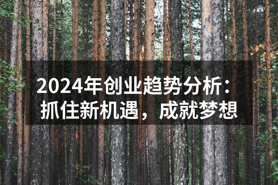 2024年创业趋势分析：抓住新机遇，成就梦想